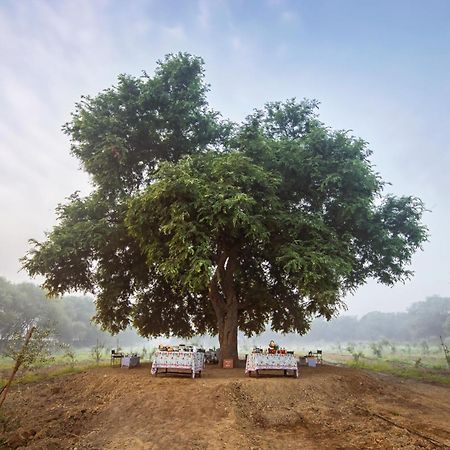 Mela Kothi - The Chambal Safari Lodge Bāh 外观 照片