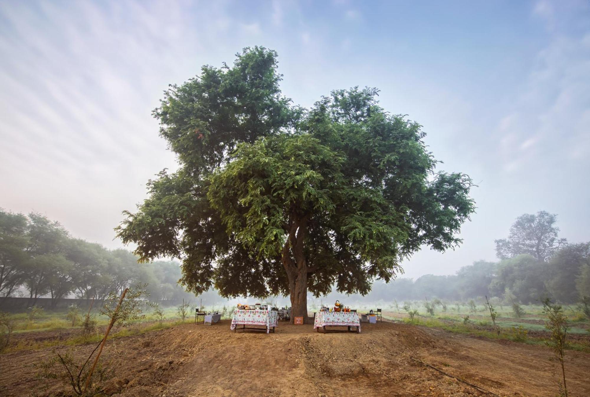 Mela Kothi - The Chambal Safari Lodge Bāh 外观 照片