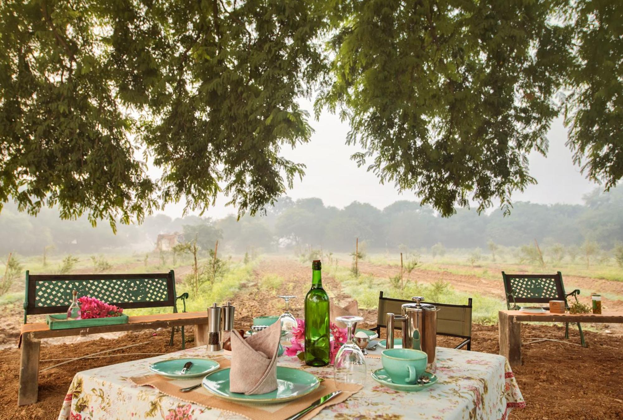 Mela Kothi - The Chambal Safari Lodge Bāh 外观 照片