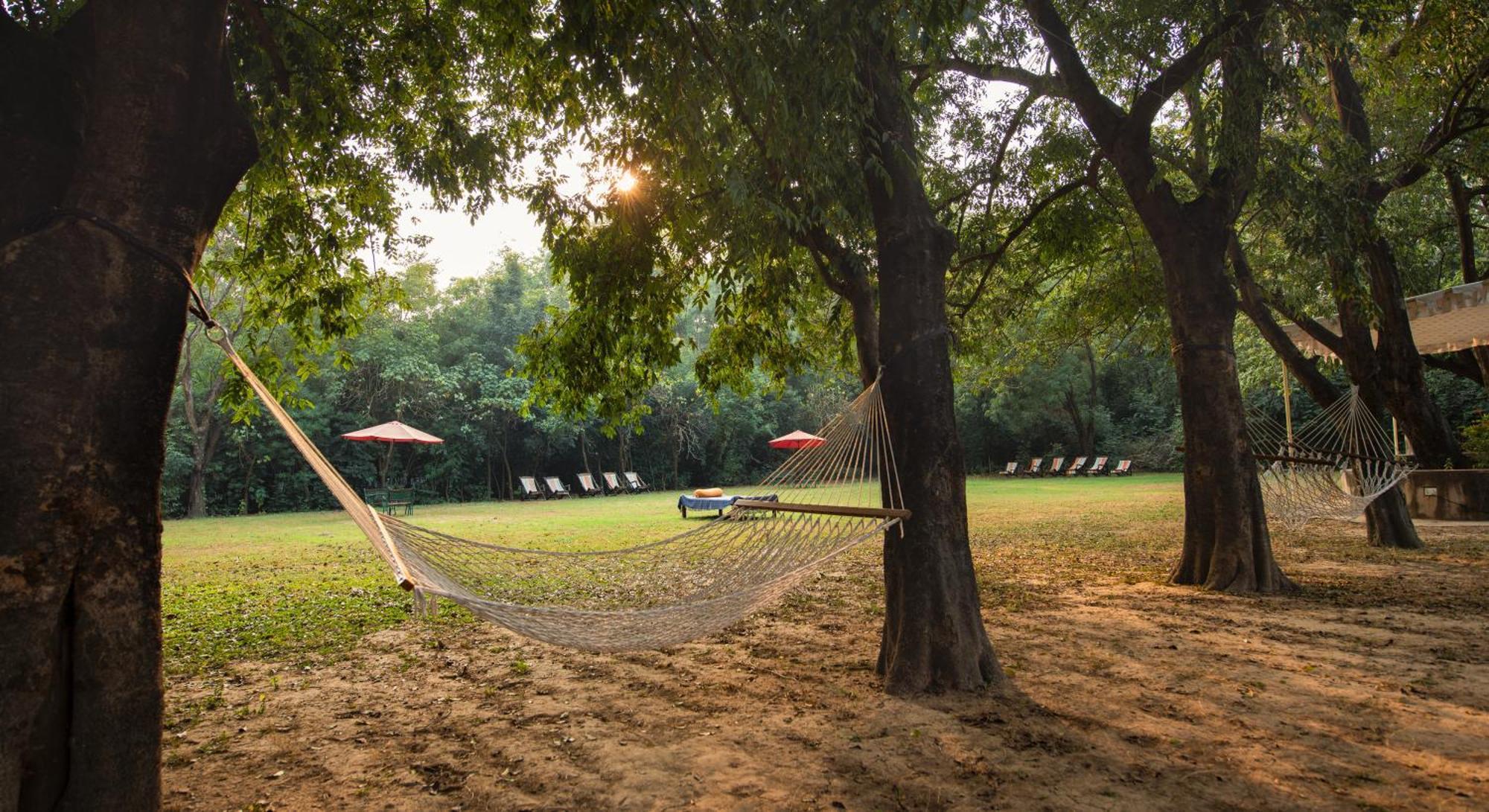 Mela Kothi - The Chambal Safari Lodge Bāh 外观 照片