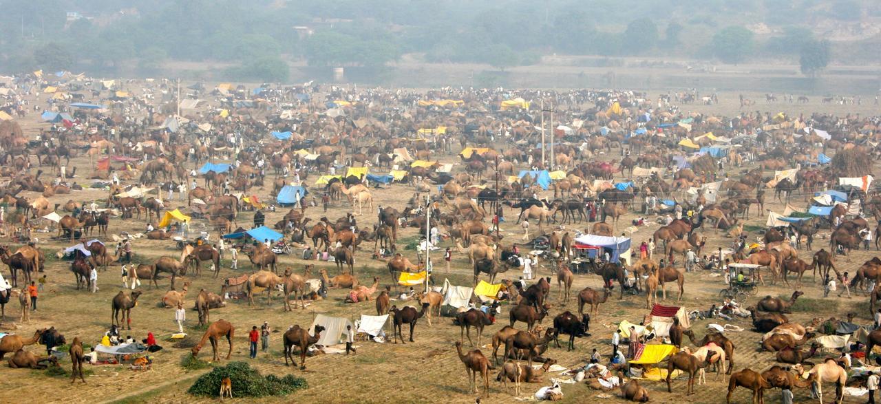 Mela Kothi - The Chambal Safari Lodge Bāh 外观 照片
